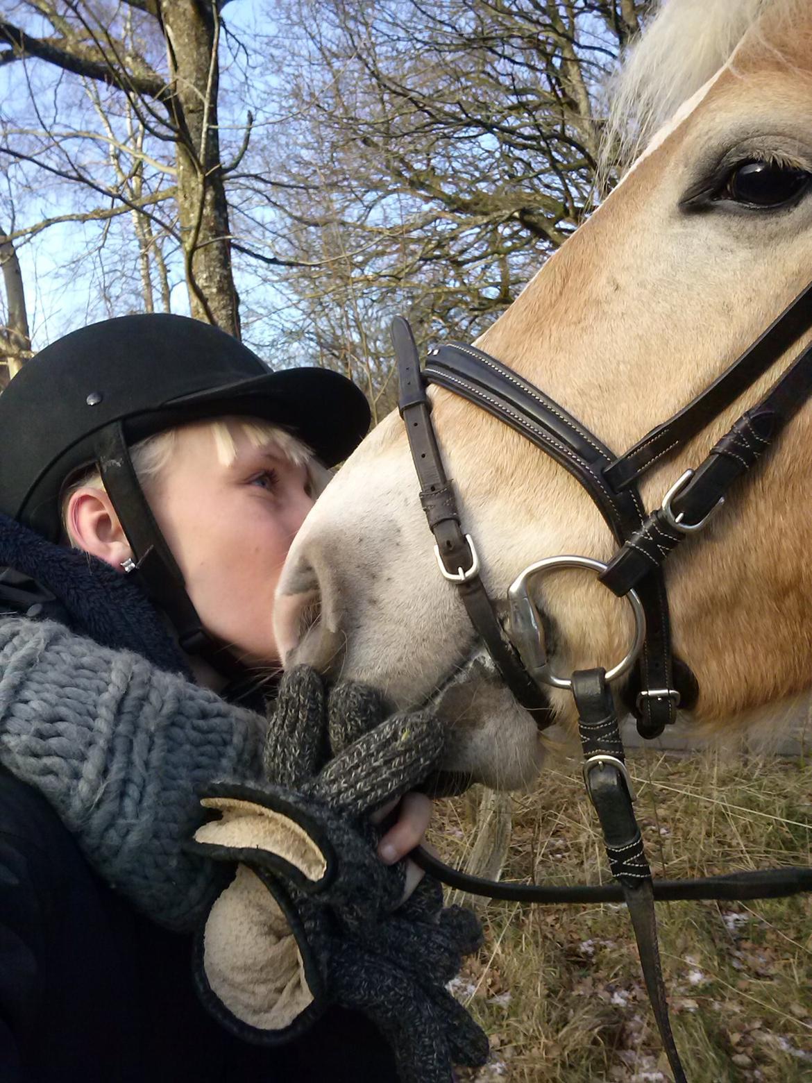 Haflinger Winchest - Kærlighed<3 billede 20