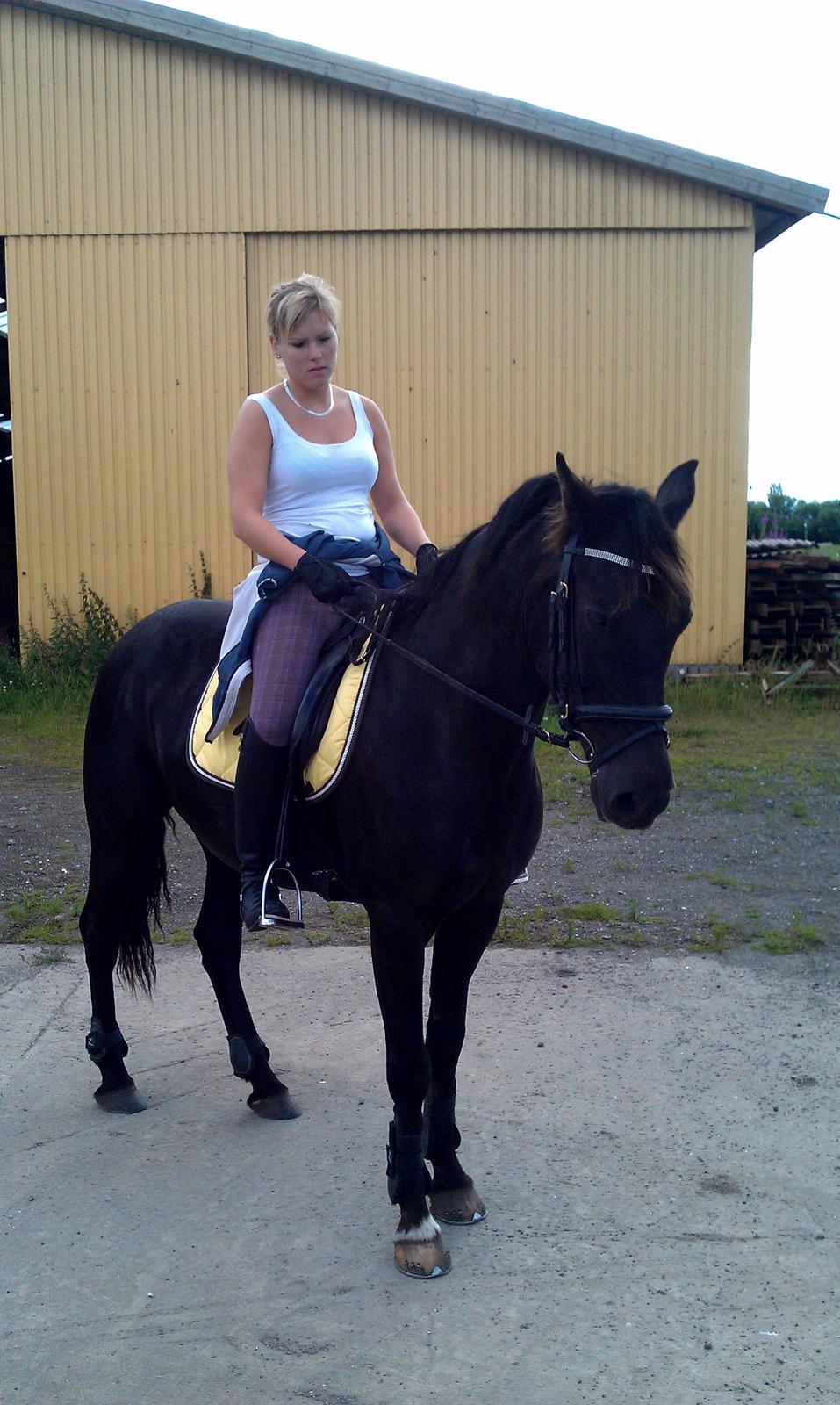 New Forest Odbjergs Bolette billede 17