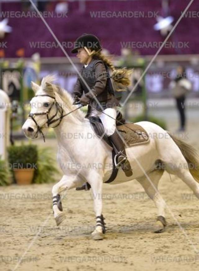 DSP Ryttergaardens Lille My<3 - <3 billede 10