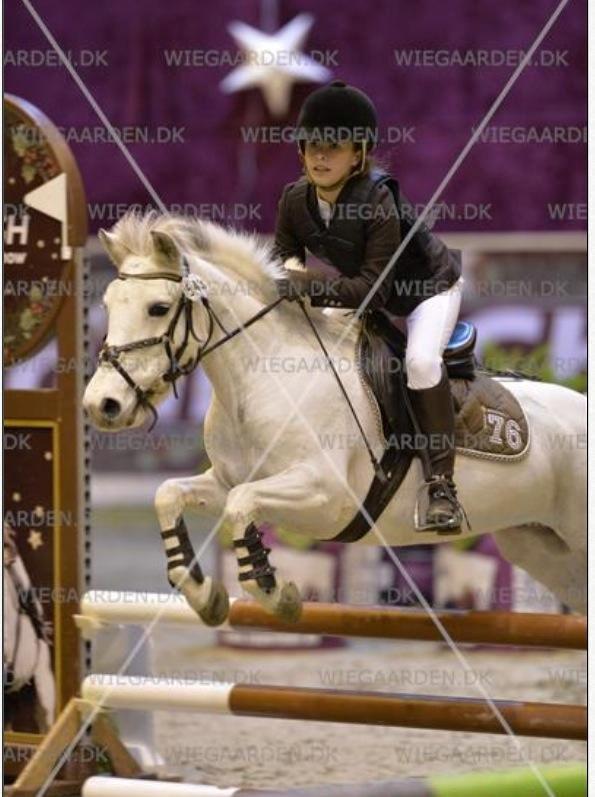 DSP Ryttergaardens Lille My<3 - Christmas show 2013 <3 <3 <3 <3 <3  billede 11