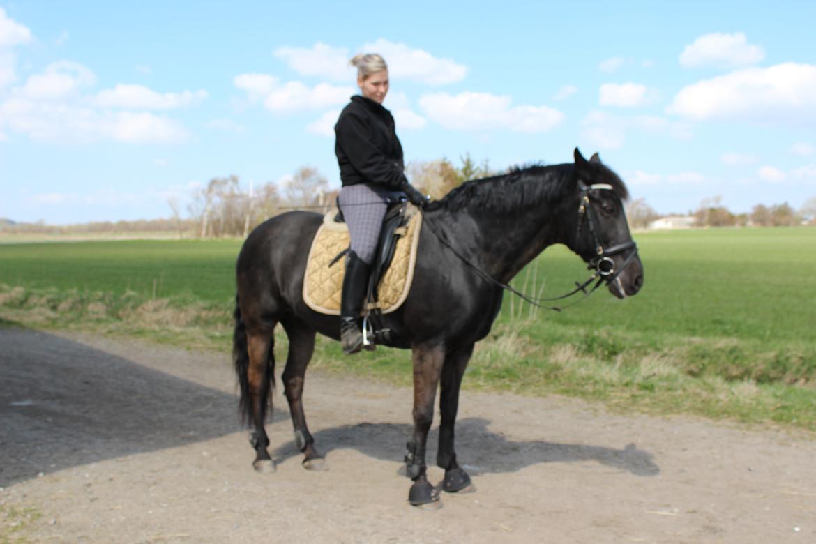 New Forest Odbjergs Bolette billede 21