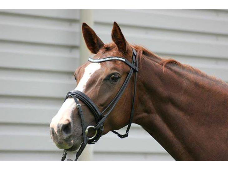 {{currentPhoto.altText}} billede {{currentPhoto.number}}