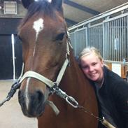 Anden særlig race Shakira