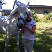 Anden særlig race Nikita