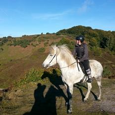 Anden særlig race Mascha