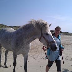 Anden særlig race Mascha