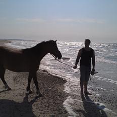 Anden særlig race Mascha