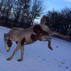 Paint Tinker blanding Sheena 