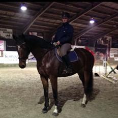 Dansk Varmblod Kronborgdiges Flika. ( låne hest)