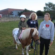 Anden særlig race Junior