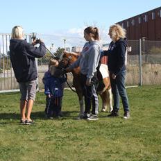 Anden særlig race Junior
