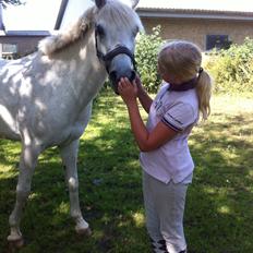 Anden særlig race Nikita