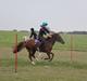 New Forest Tante Sofie