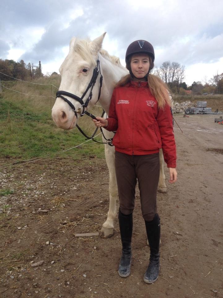 Knabstrupper Kolumbus af Hallundbæk - Står lige og leger fotomodel med den lille hest. Tag jer ikke af mit ansigt.. billede 11