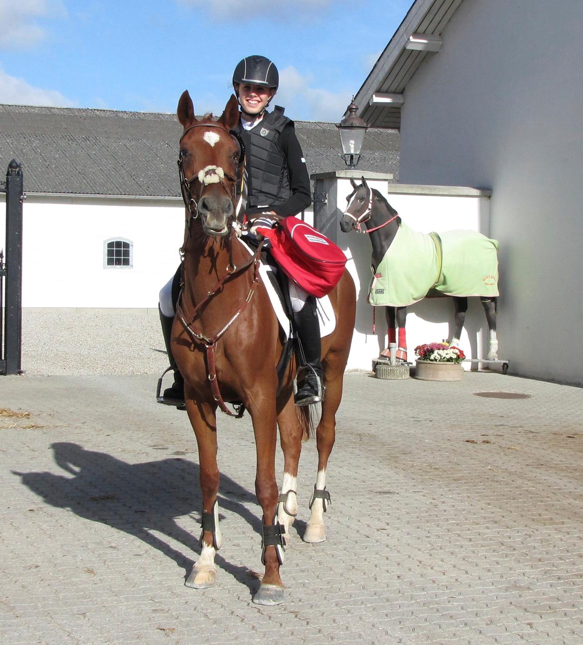 Hollandsk Sportspony Xana Maxima - Vinder LC til KAR open 2013! <3 billede 13