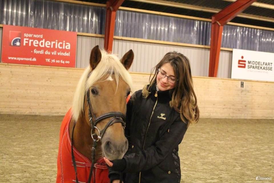 Haflinger Bosse - Min bedste ven gennem alt <3
[Foto: Kirstine D.M] billede 15