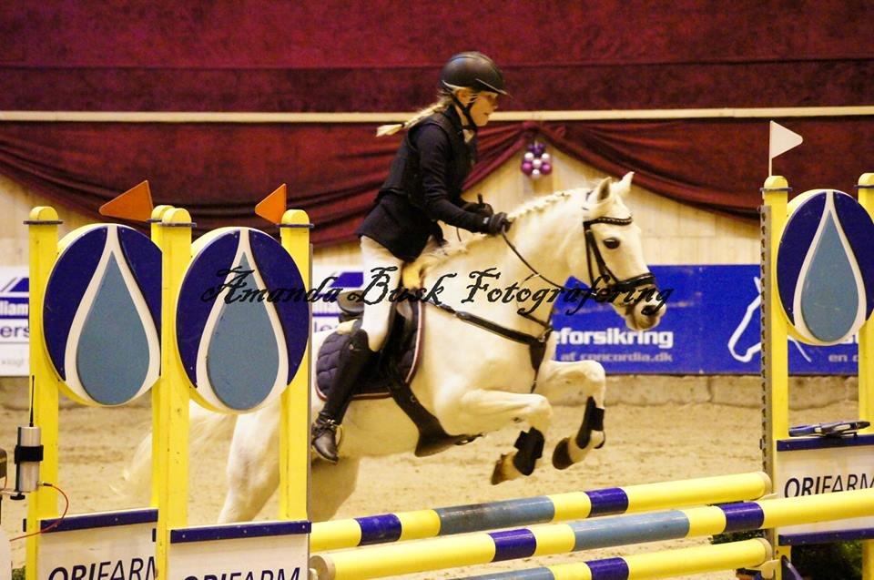 Anden særlig race Duchess (Solgt og mega savnet) <3 - Vilhelmsborg<3 Super godt stævne. Du snubler, men alligevel tager du ikke en bom, du redder mig altid! Vi kunne dog måske have lagt til en placering hvis vi ikke snublede, men vi var fejlfrie og det er det vigtigste! Det var en vildt stor oplevelse at rid billede 9