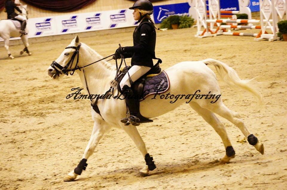 Anden særlig race Duchess (Solgt og mega savnet) <3 - Du har en kæmpe plads i mit hjerte! <3 billede 13
