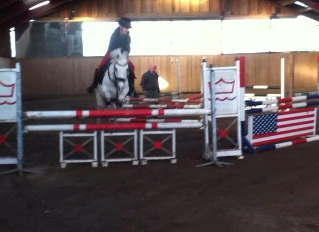 Anden særlig race Duchess (Solgt og mega savnet) <3 billede 12