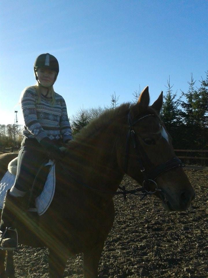 Anden særlig race Laika <3  - Træning :D billede 18