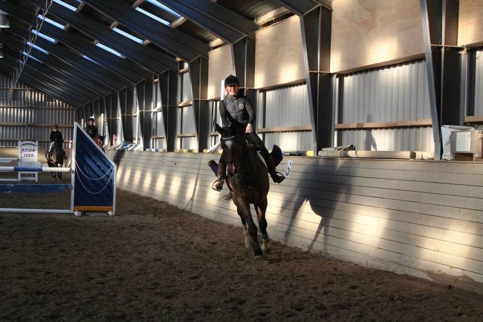 Dansk Varmblod Valløs Lexion billede 22