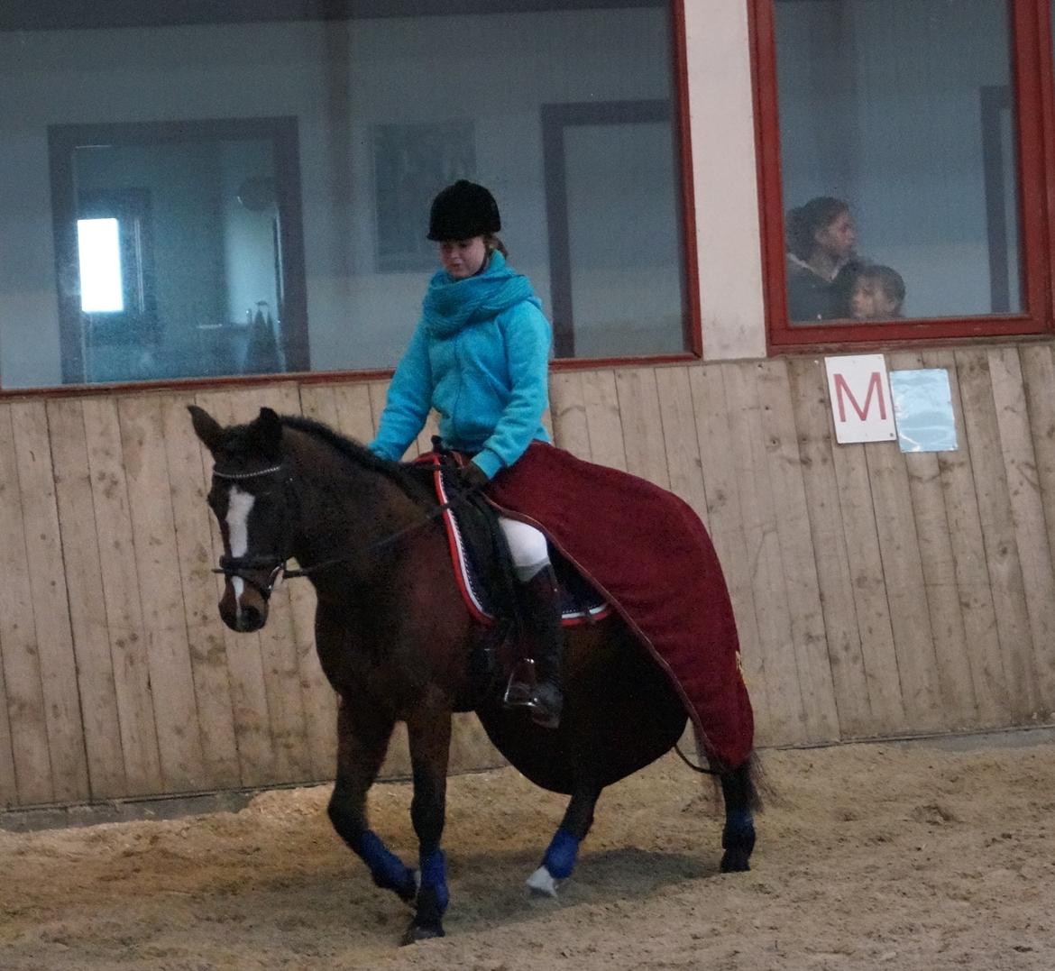 Anden særlig race Smilla - Opvarmning til første spring stævne <33 sød hest! <3 :-* billede 16