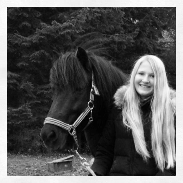 Islænder Kolfaxi fra Lilleheden - 31 oktober - bedste dag i mit liv! billede 8