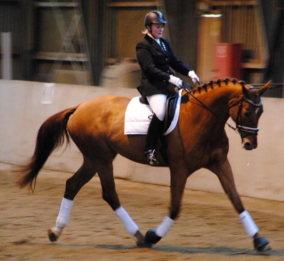 Dansk Varmblod Faith - Maia og Faith til deres første stævne. LC2 til 64,69% - 7. december 2013. billede 4