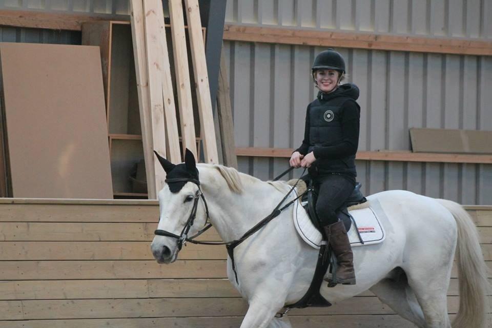 Polsk Varmblod Gaviano  billede 21