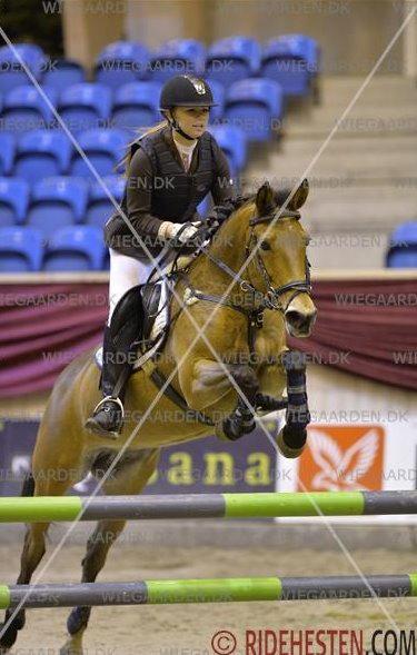 Anden særlig race Esmaralda - Danish Christmas Show Warm Up 2013 - 6. plads billede 2