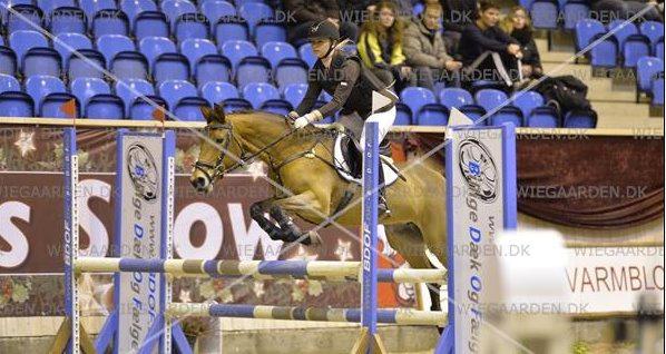 Anden særlig race Esmaralda - Danish Christmas Show Warm Up 2013 6. plads ud af 50 billede 3