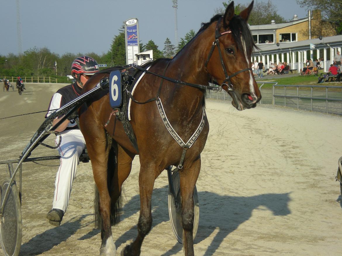 Traver Raketten G K - Løb i Skive billede 8