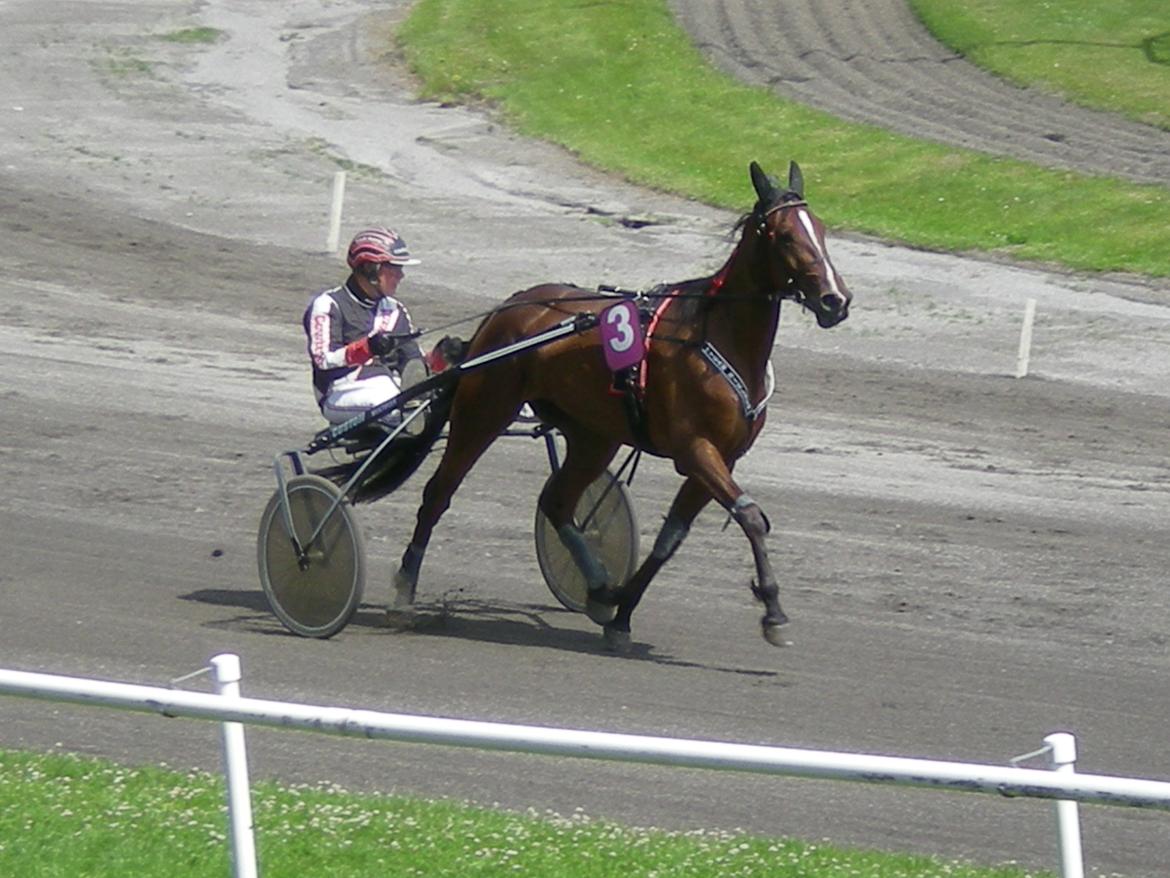 Traver Raketten G K - 4 års grand prix med Raketten  billede 16