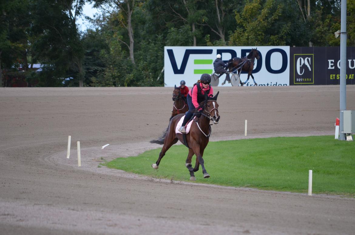 Traver Raketten G K - Monte træning billede 20