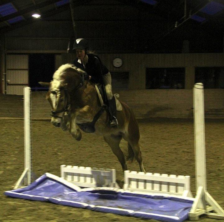 Haflinger Sandy van de lohöfte - Mig som springer på den kære Balder.
Foto: Signe billede 5