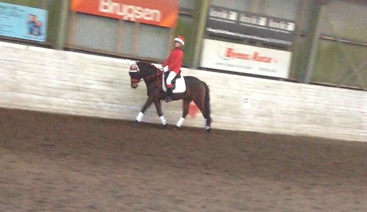 Anden særlig race Dumle<3  billede 6