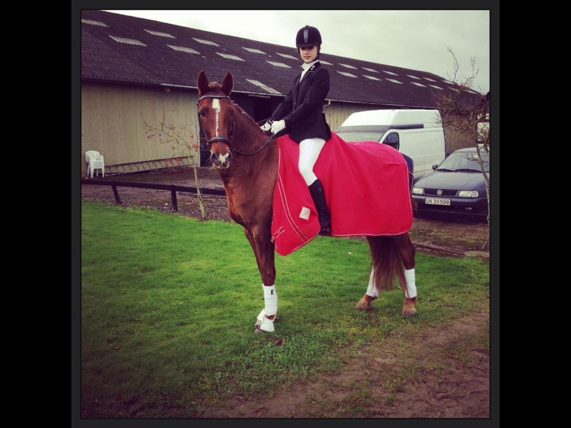 Anden særlig race Ricardo billede 36