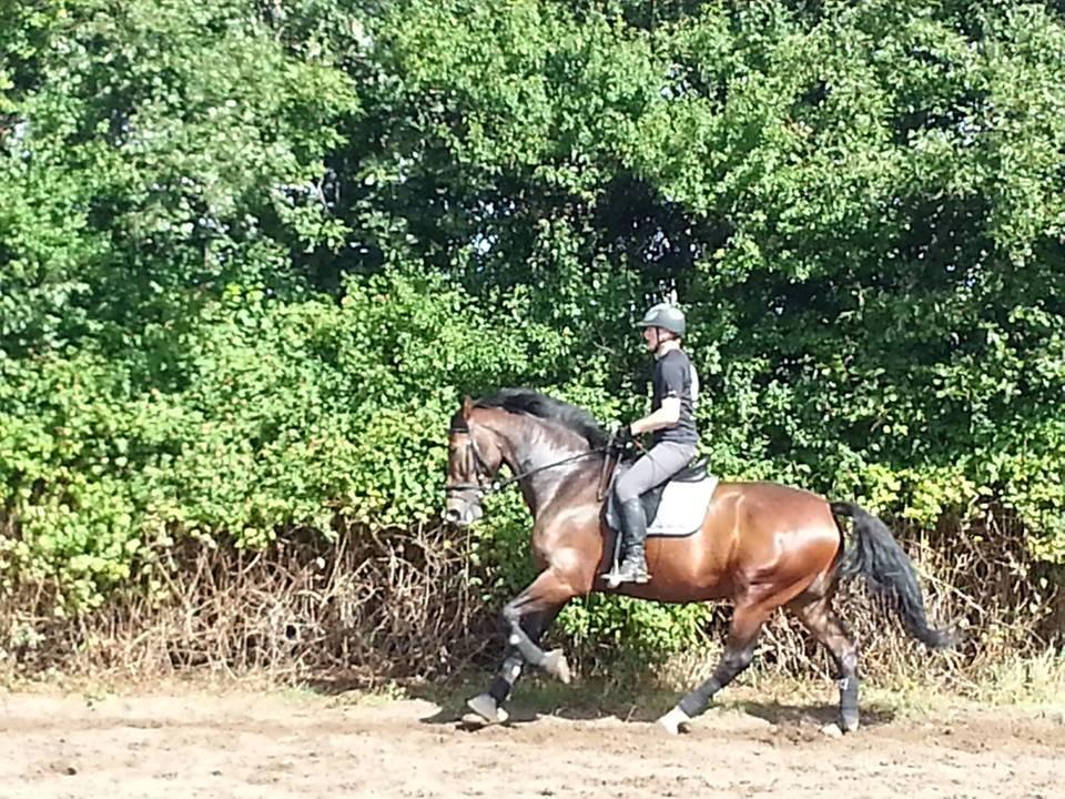 Oldenborg Miro billede 8