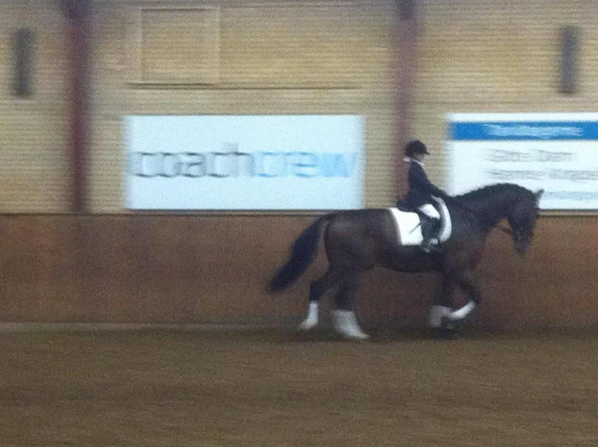 Oldenborg Miro - miro til klubstævne med Ulrikke billede 4