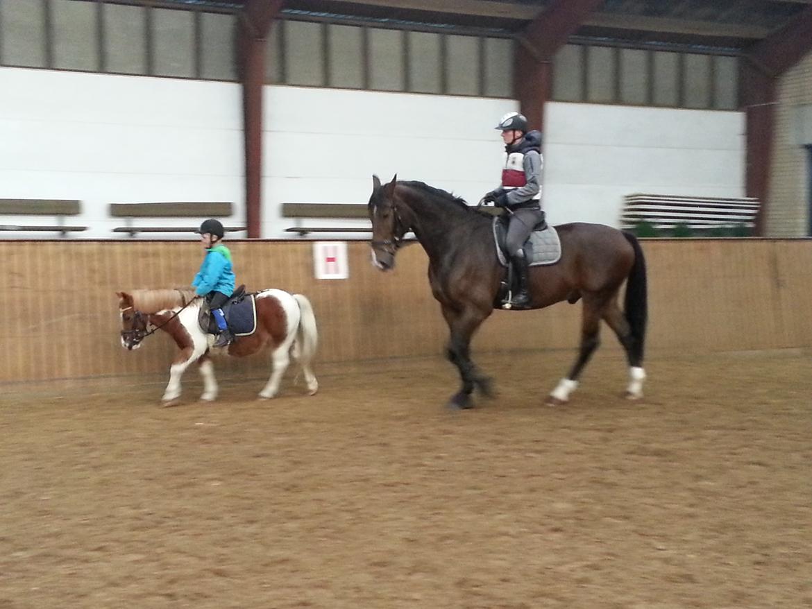 Oldenborg Miro billede 10