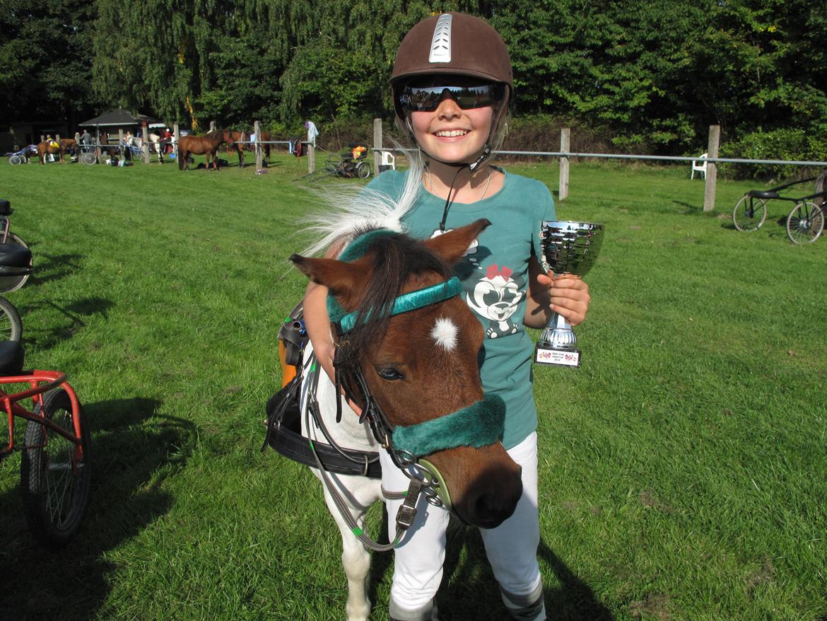 Shetlænder Smilla #Den farlige biavler! xD# - Vandt Swe-Dan pony cup:D billede 8