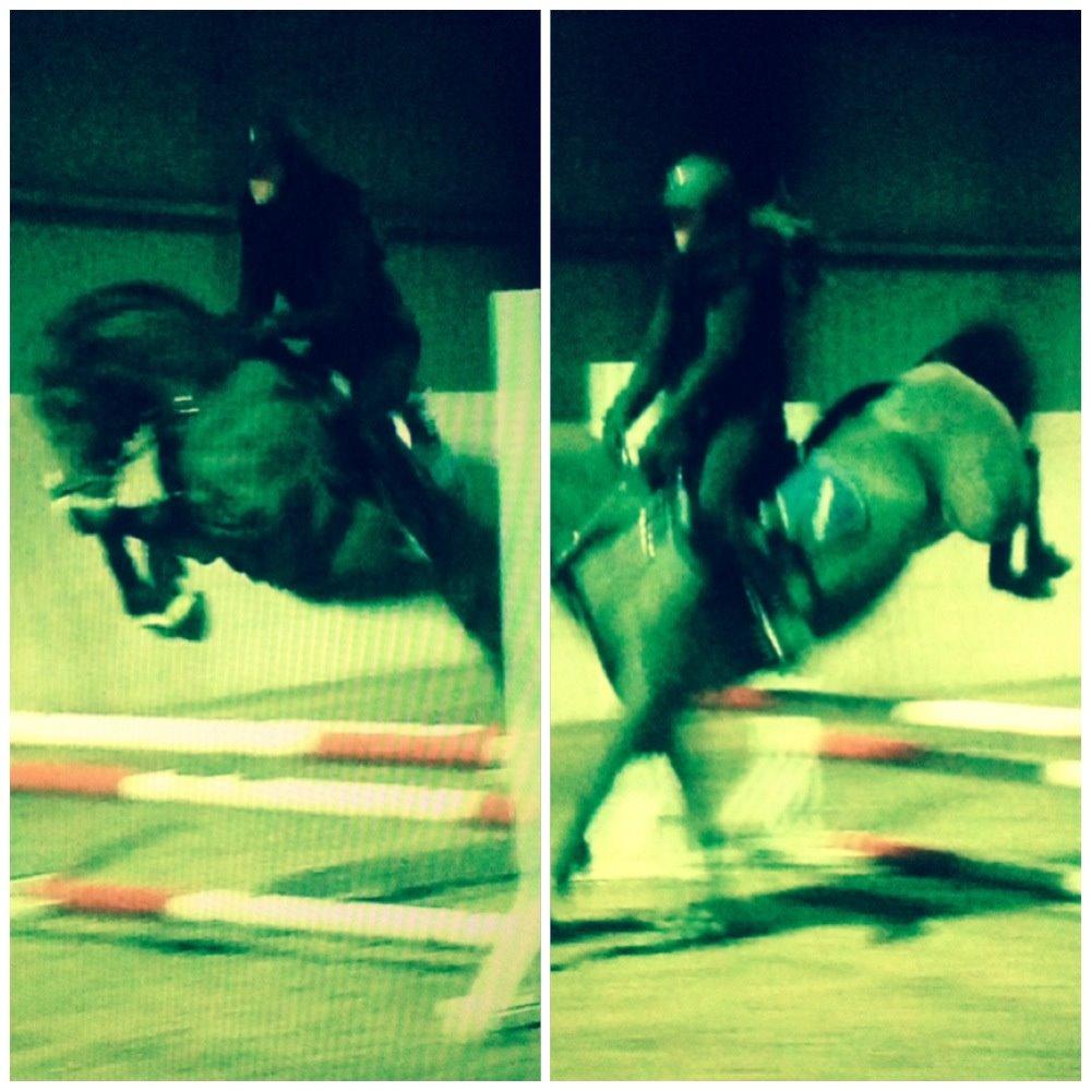 New Forest Odden's Daytonna A-Pony - Fra første spring træning efter 4-5 måneders spring pause! Stjerne<3 billede 25