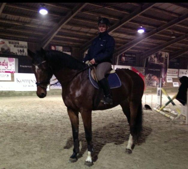 Dansk Varmblod Kronborgdiges Flika. ( låne hest) billede 1