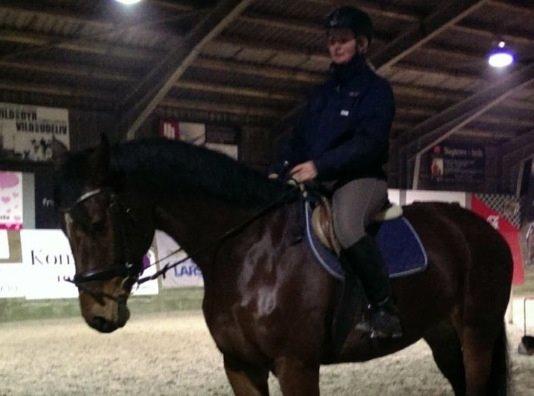 Dansk Varmblod Kronborgdiges Flika. ( låne hest) billede 8