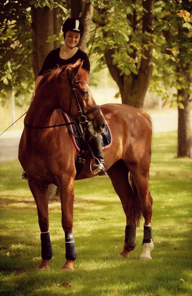 Holstener Le Poul billede 11