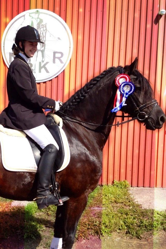 Frieser Kashmir Toustrup - du er min stjerne <3 billede 15