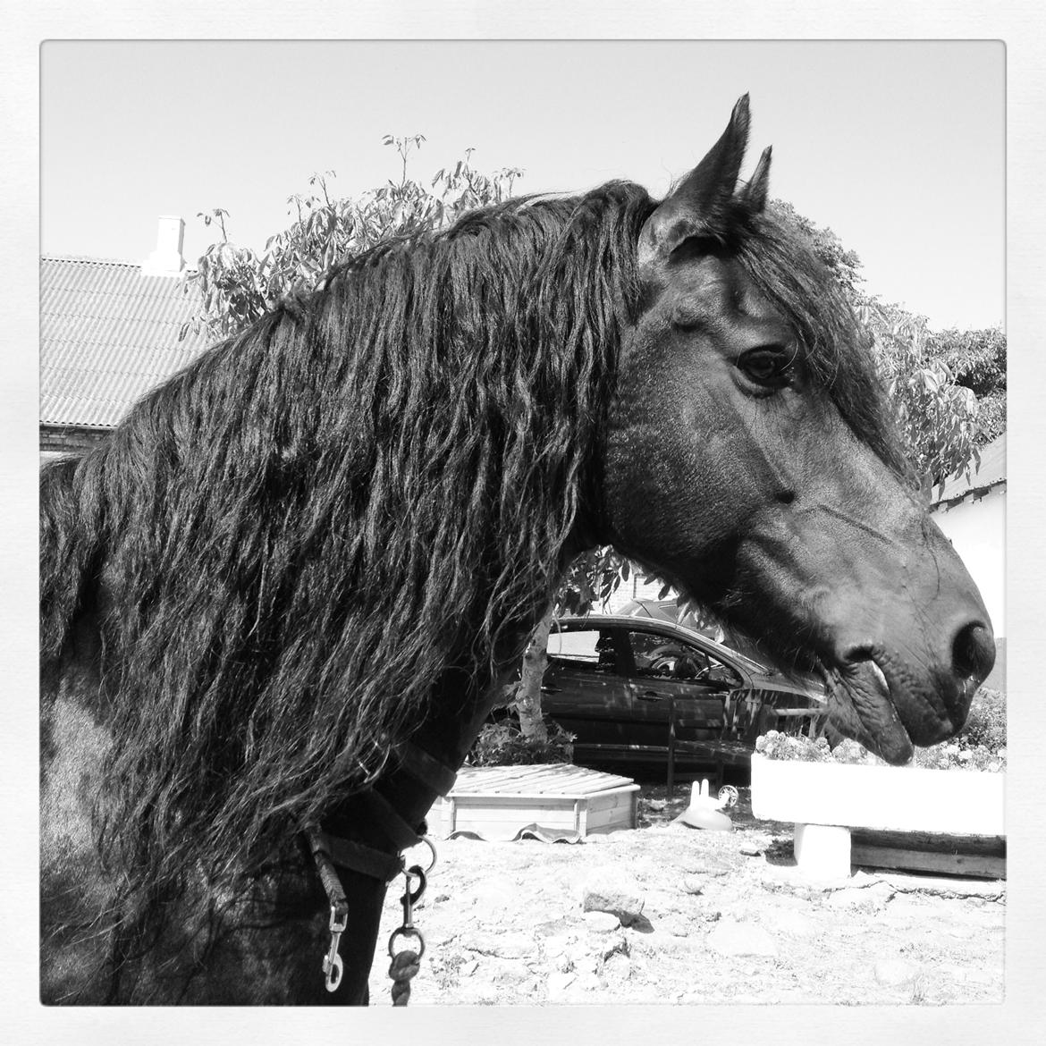 Frieser Kashmir Toustrup - glemmer dig aldrig :*<3 billede 19