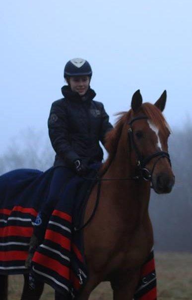 Holstener Figaro af Tjørnely billede 24