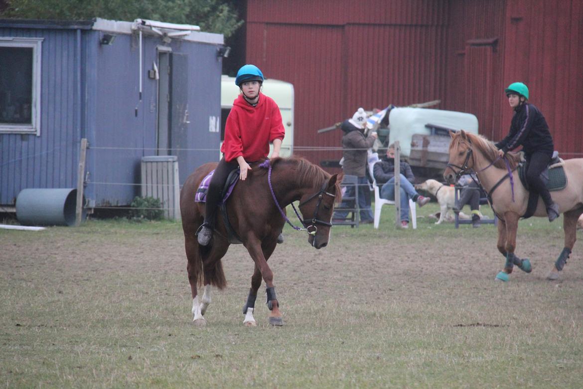 New Forest Tante Sofie - <3 billede 2