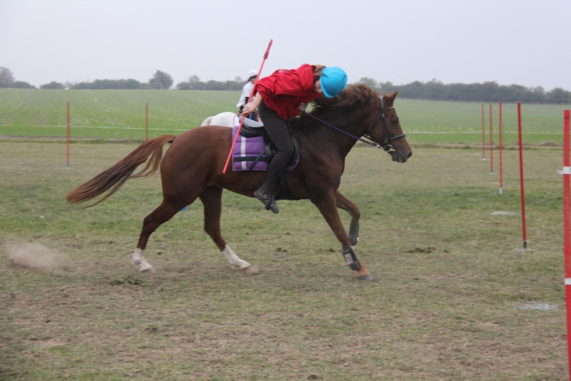 New Forest Tante Sofie billede 10